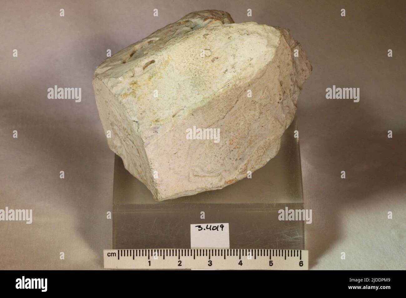 Blodite. Minerali. Nord America; USA; California; Contea di San Luis Obispo; Lago Soda, pianure di Carrizo Foto Stock