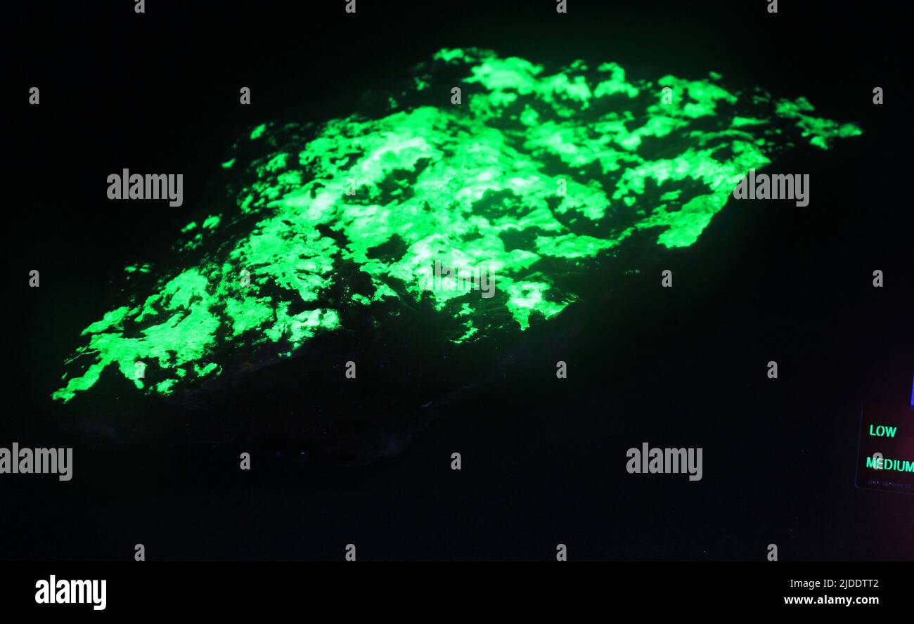 Minerali opali. Nord America; USA; Georgia; Contea di Gwinnett; Liburn Foto Stock