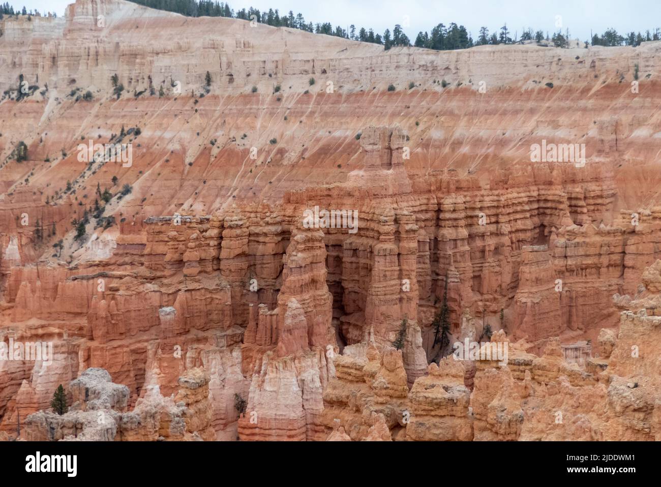 Bryce Canyon NP in Utah: Il canyon dal Rim Trail tra Sunset Point e Inspiration Point Foto Stock
