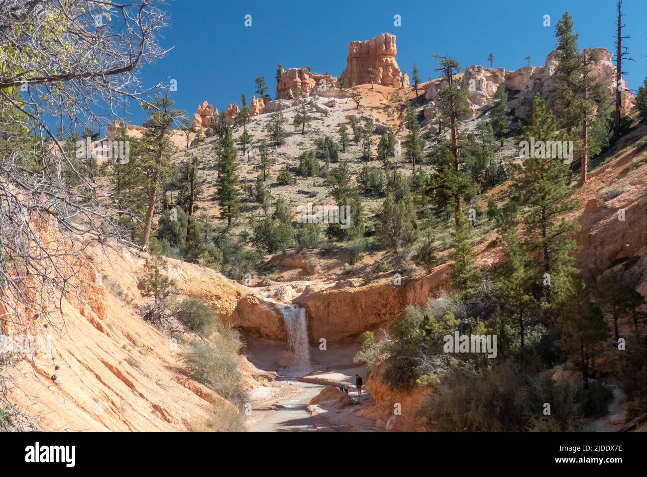 Mossy Cave Trail, Utah, USA: Tropic Ditch Falls Foto Stock