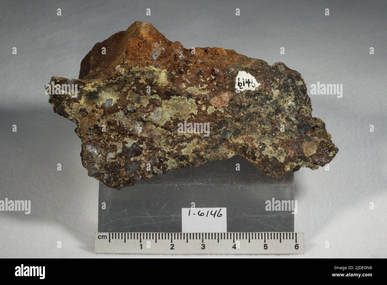 Iodargirite. Minerali. Australia; nuovo Galles del Sud; Broken Hill; miniera proprietaria, albero di ioduro Foto Stock