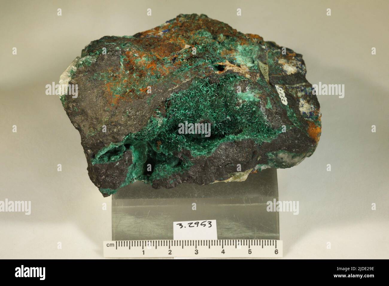 Malachite. Minerali. Nord America; Stati Uniti; Arizona Foto Stock