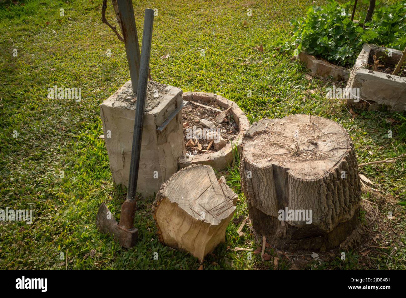 legno tagliato con hatchet Foto Stock