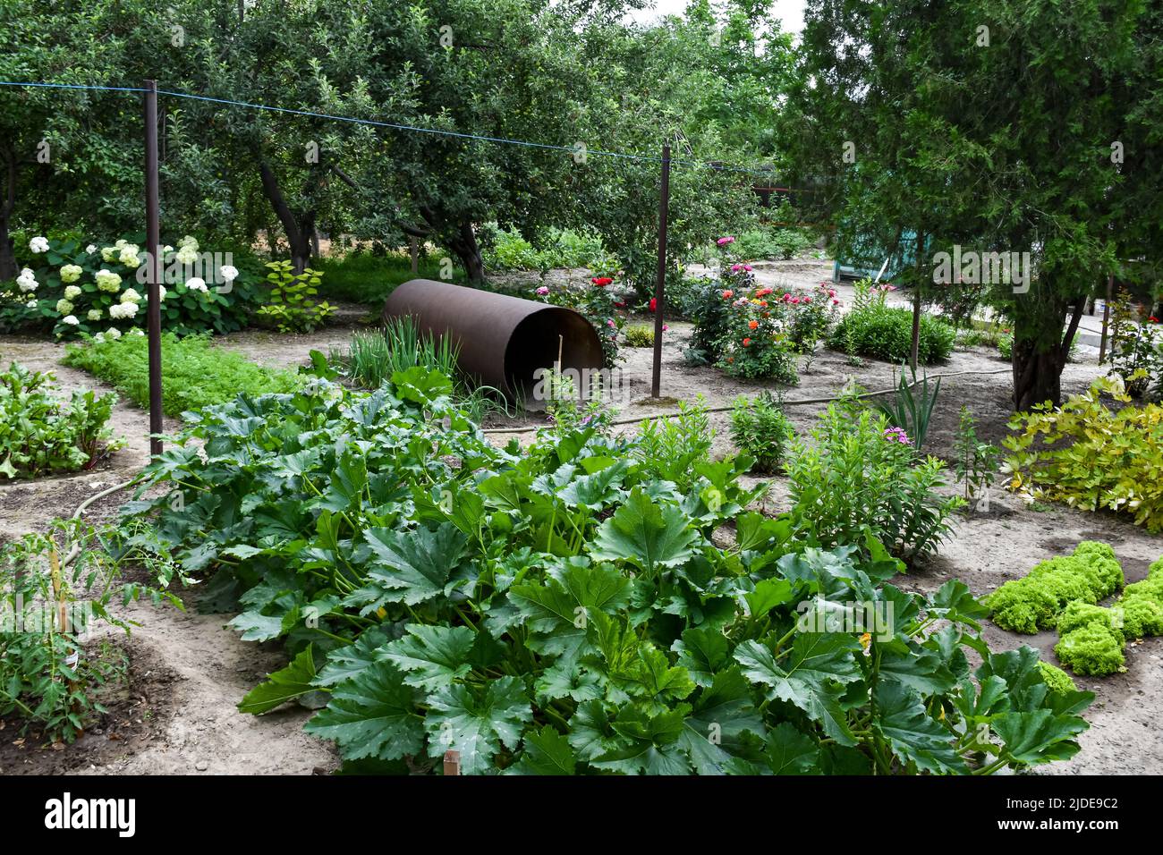 Un tipico giardino trama e letti verdi nel cortile di una casa Foto Stock