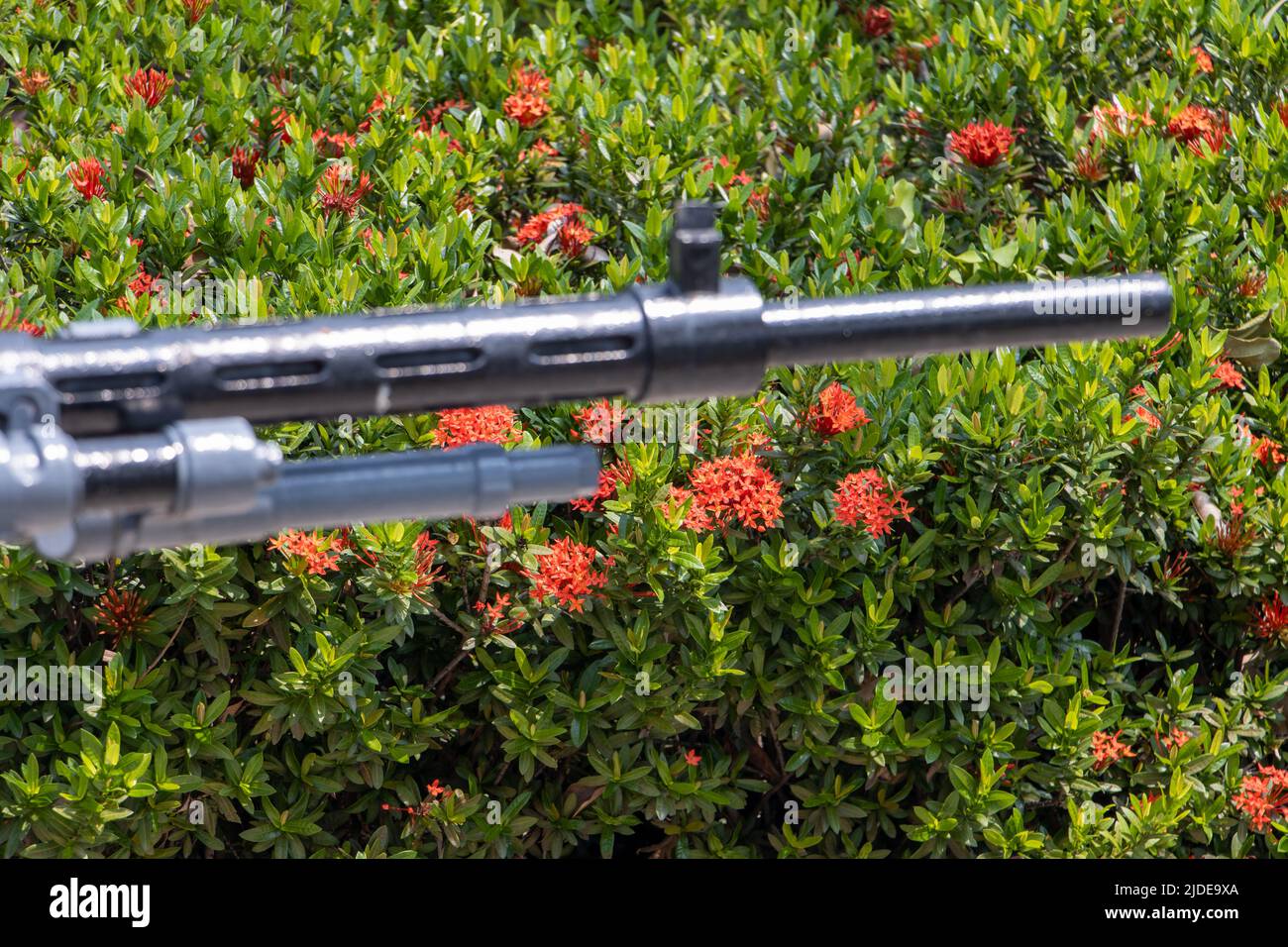 Il cilindro sfocato della pistola a macchina Hotchkiss, un fuoco sui fiori colorati sullo sfondo Foto Stock