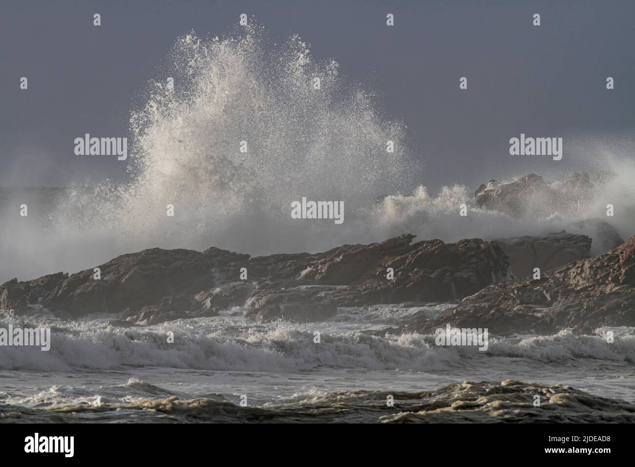 Tempestoso tuffo d'onda grande, costa rocciosa del Portogallo settentrionale. Foto Stock