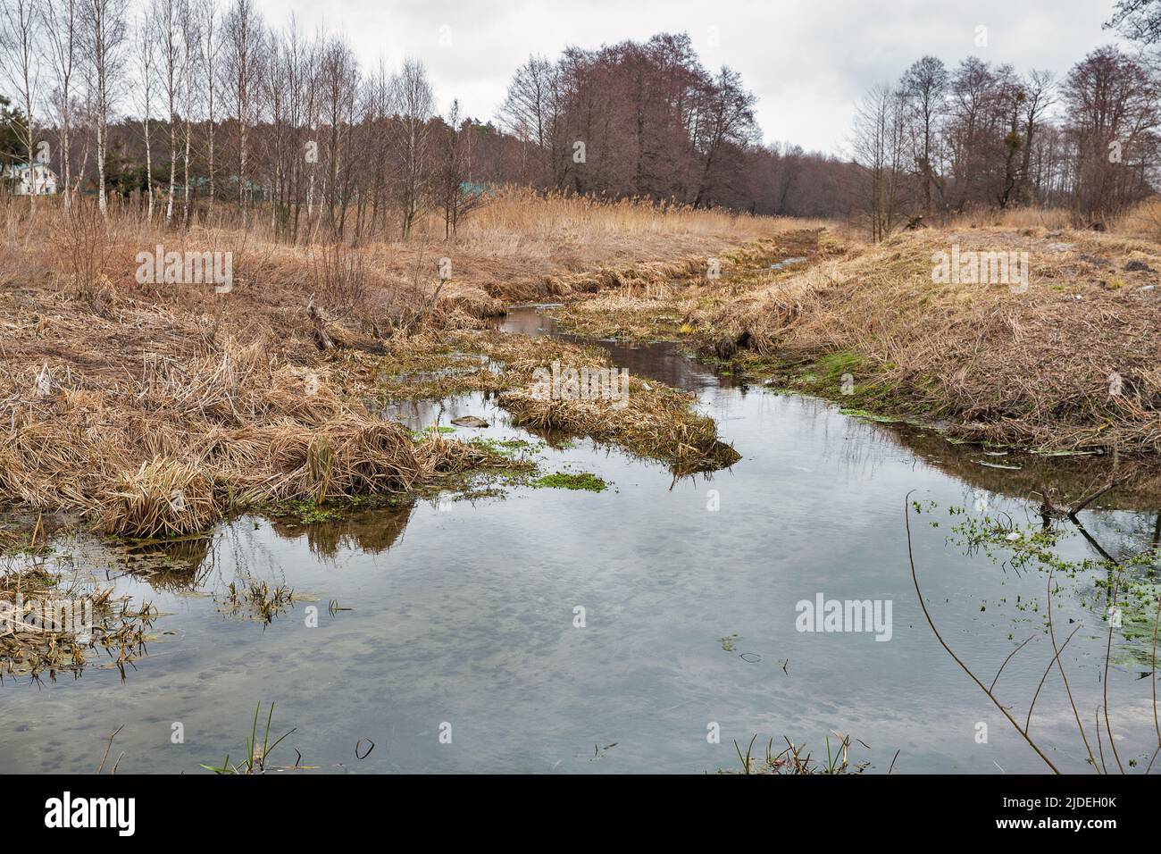 Paesaggio primaverile con fiume Ikva in Ucraina occidentale. Foto Stock