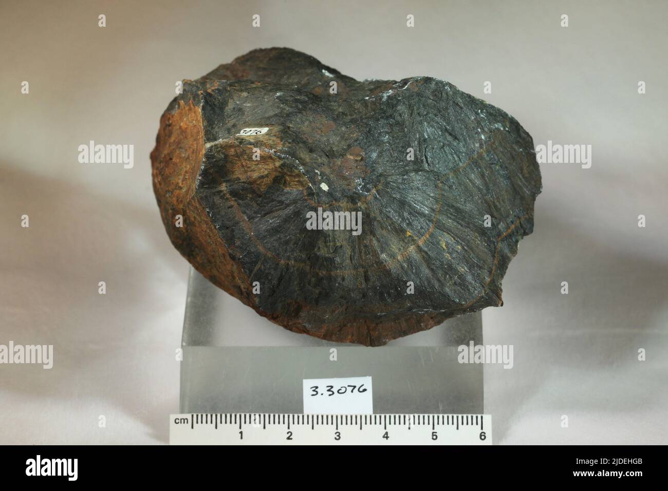 Dufrenite. Minerali. Nord America; USA; Virginia; contea di Rockbridge Foto Stock