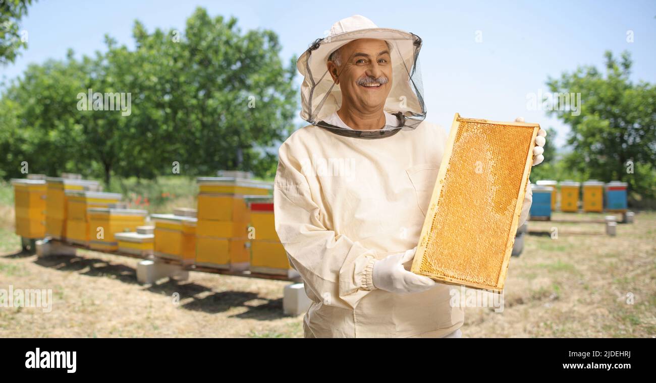 Apicoltore in uniforme in piedi su apiario e mostrando una cornice di ape Foto Stock