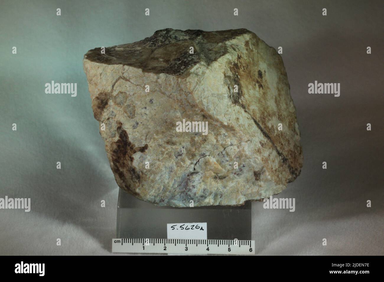 Minerali di Wagnerite. Europa; Norvegia; Provincia di Telemark; Bamble Foto Stock