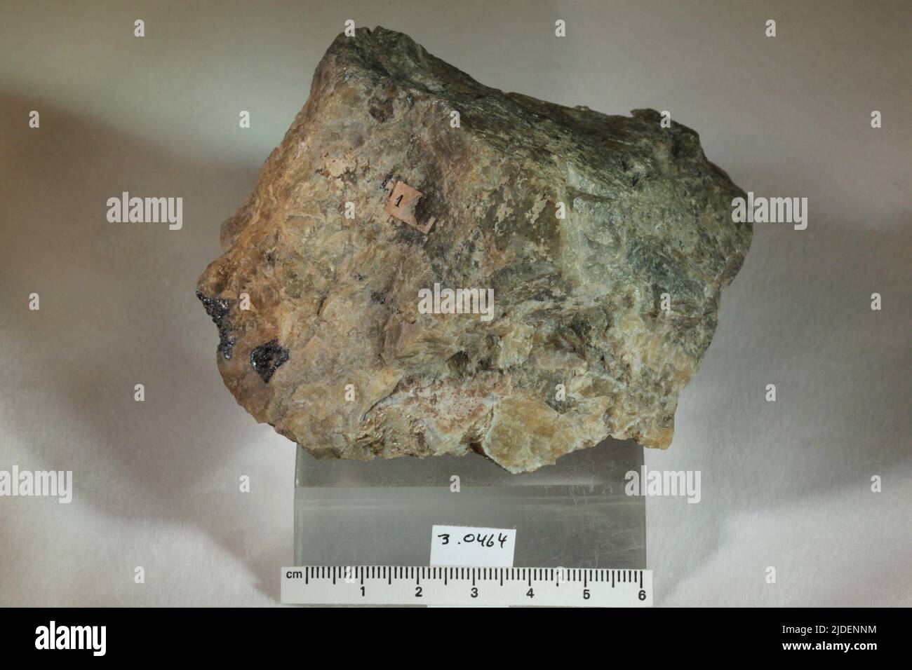 Minerali di Wagnerite. Europa; Norvegia; Provincia di Telemark; Bamble Foto Stock
