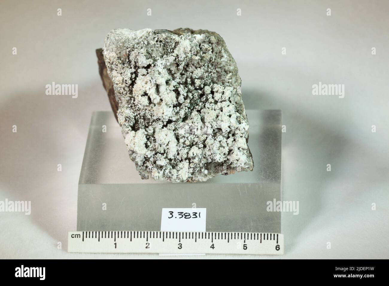 Rosslerite. Minerali. Europa; Repubblica Ceca; Regione di Karlovy Vary; Karlovy Vary; Jáchymov; [Joachimsthal] Foto Stock