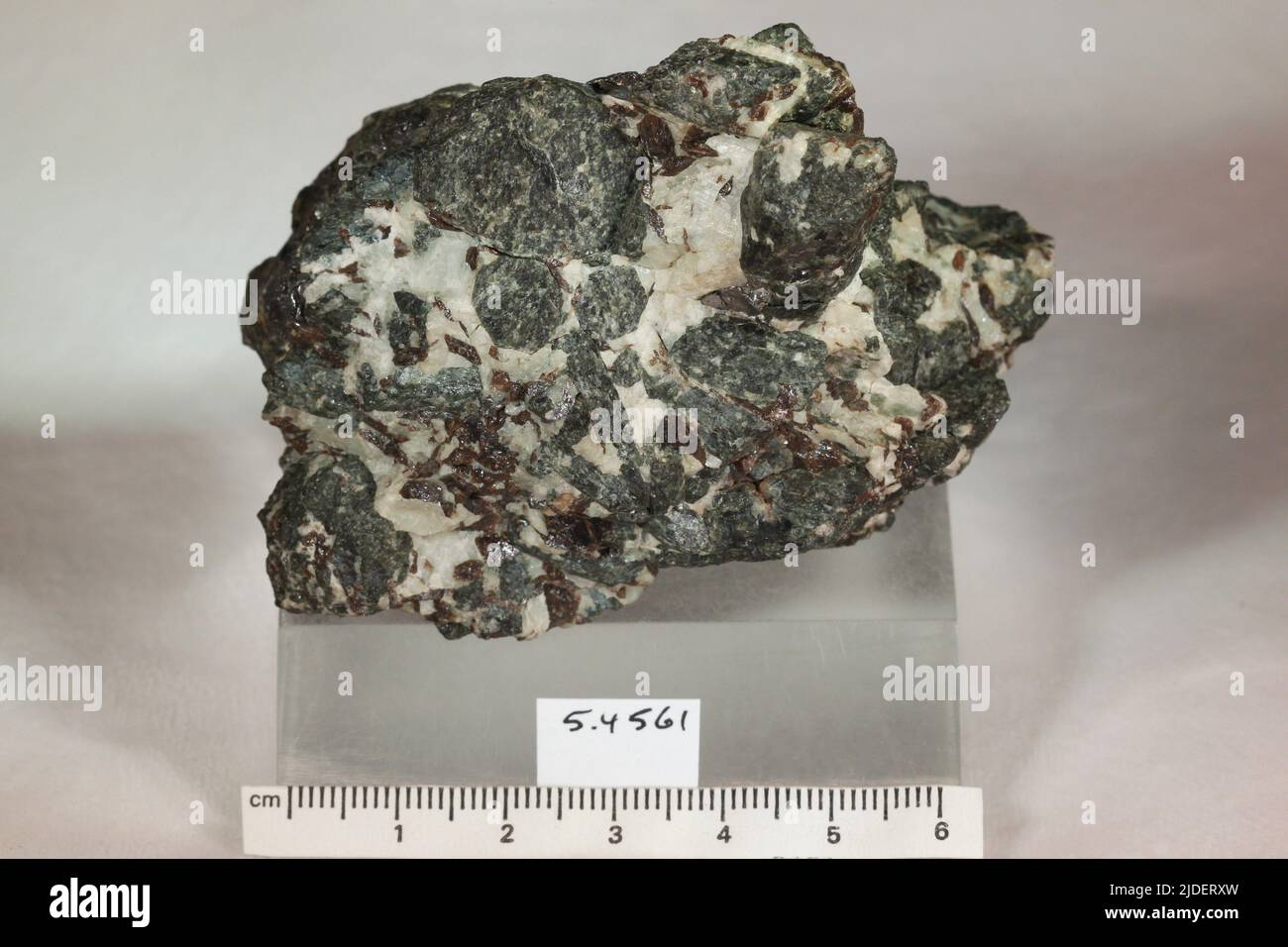 Minerali di Titanite. Nord America; USA; New York; Warren County Foto Stock