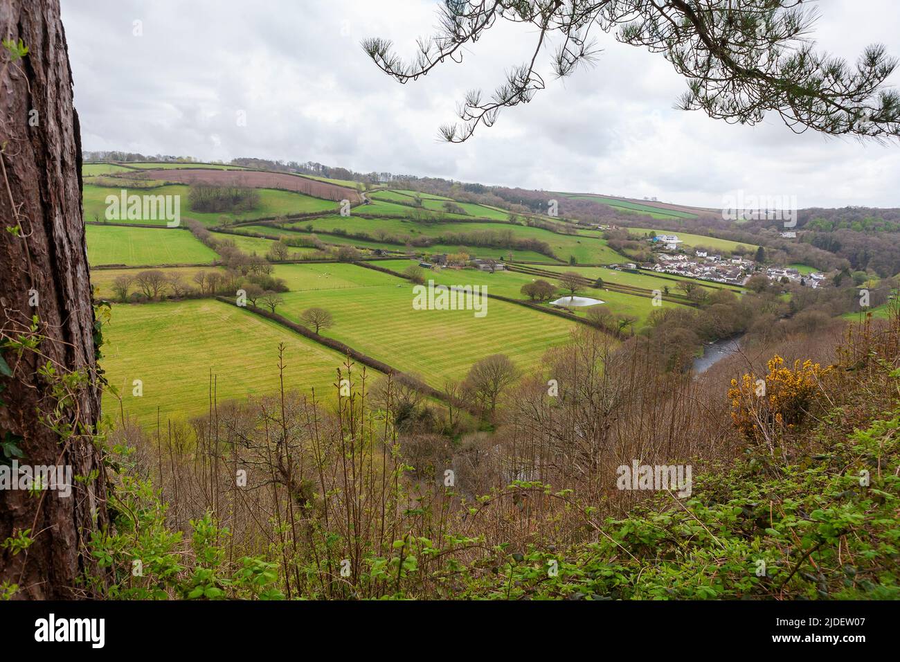 Campagna nella valle di Torridge, da Great Torrington Common, Devon, Regno Unito Foto Stock