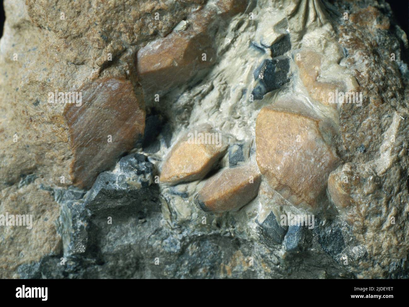 Chondrodite. Minerali. Nord America; Stati Uniti; New York; Contea di Putnam; Brewster Foto Stock