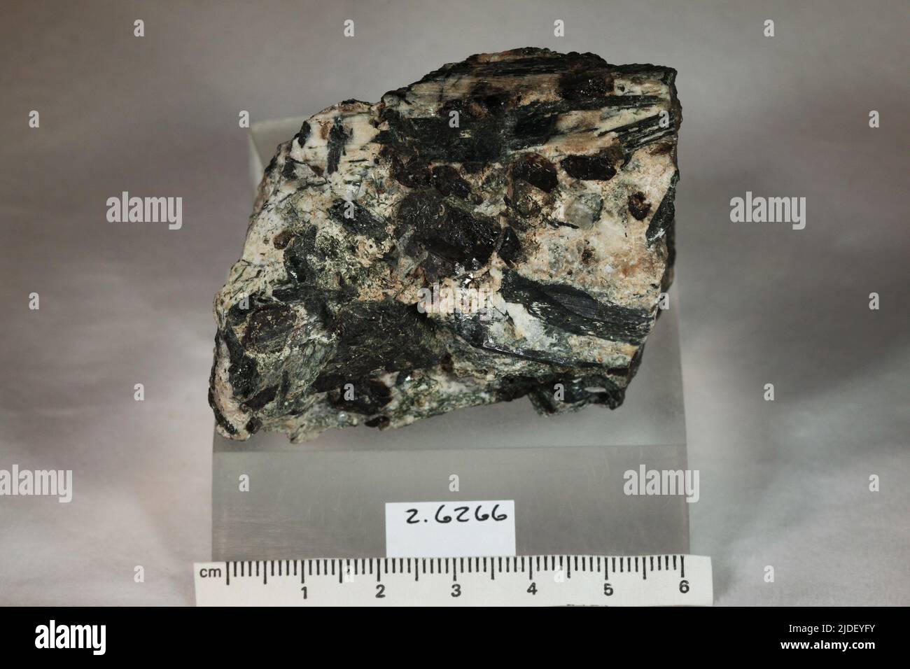 Steenstrupine-(CE). Minerali. Nord America; Groenlandia; Tunugdliarfik Foto Stock