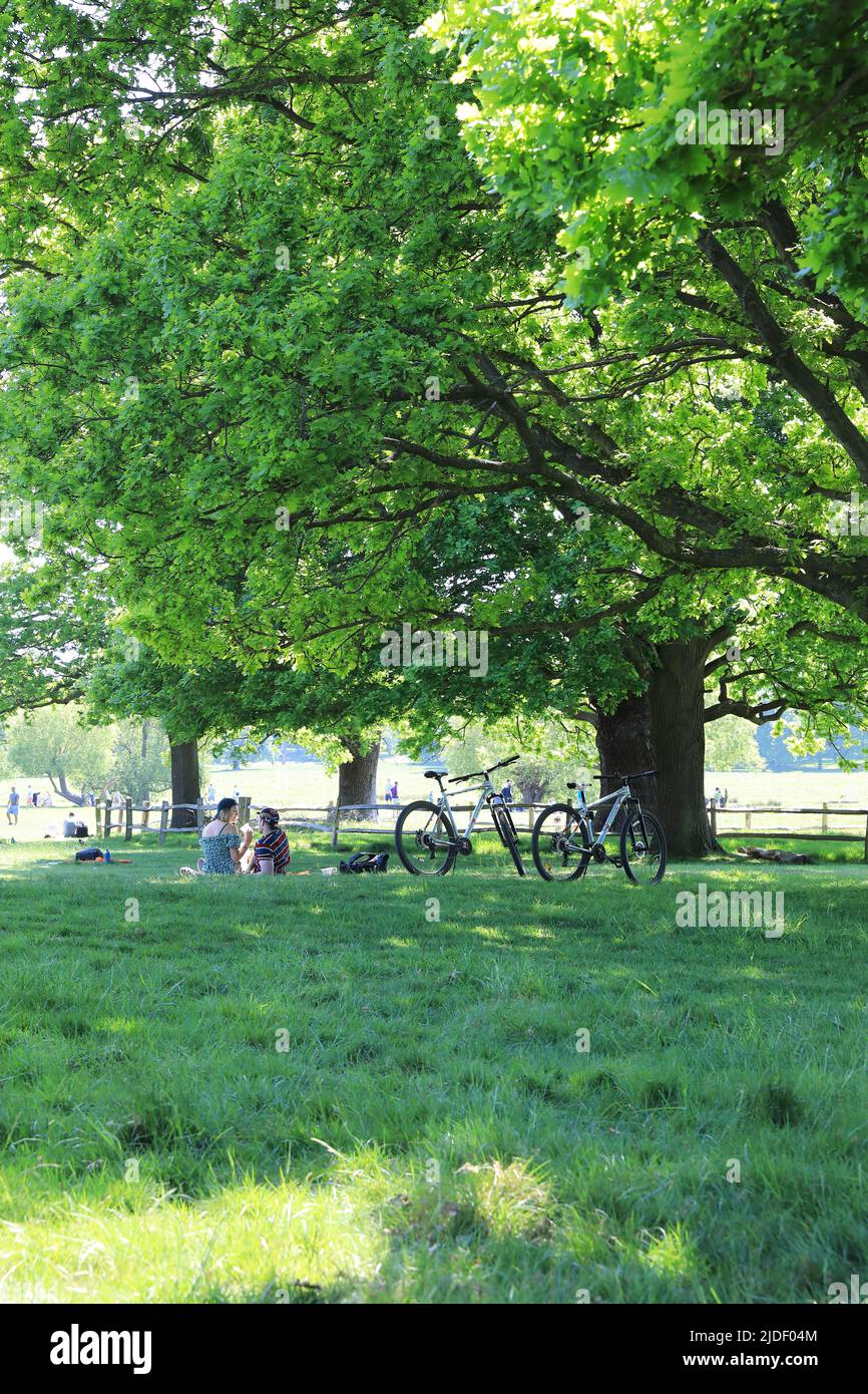 Primavera a Richmond Park, mentre i ciclisti si rilassano sotto gli alberi, a SW London, Regno Unito Foto Stock