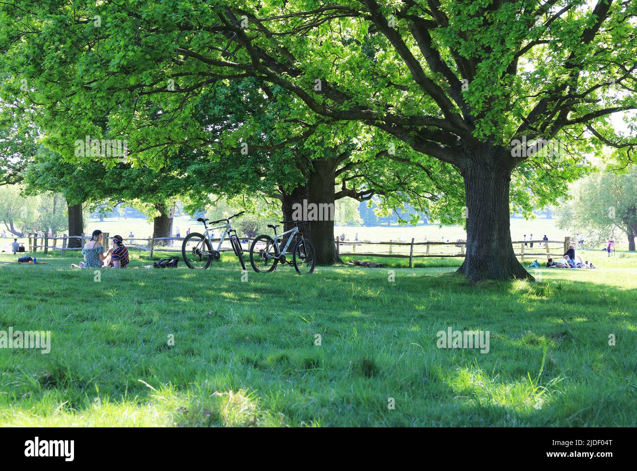 Primavera a Richmond Park, mentre i ciclisti si rilassano sotto gli alberi, a SW London, Regno Unito Foto Stock