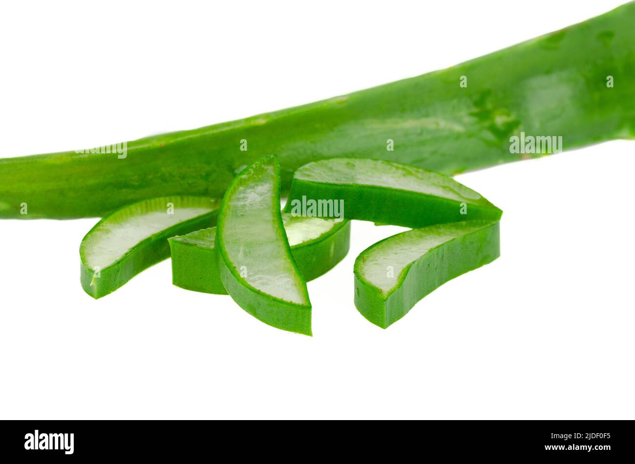 Foglia di aloe vera con pezzi tagliati su sfondo bianco. Concetto di medicina naturale. Foto Stock