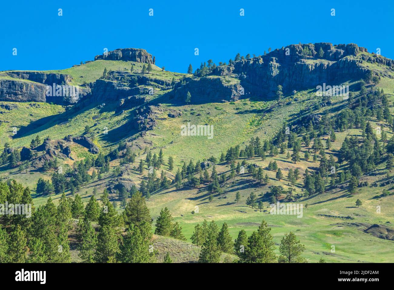 coburn montagna vicino a craig, montana Foto Stock