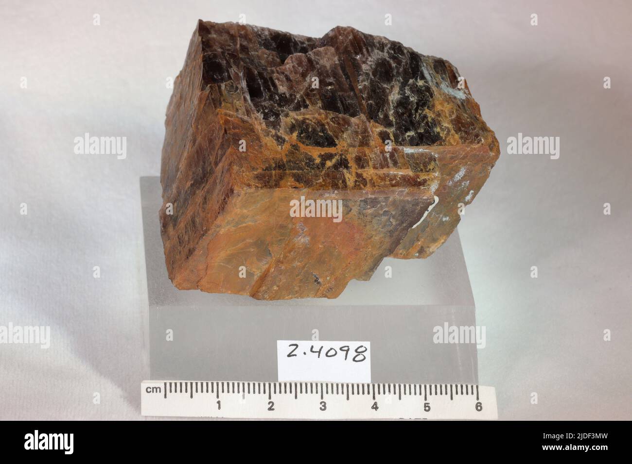 Anfibole. Minerali. Nord America; Canada; Quebec; Contea di Argenteuil; Grenville-sur-la-Rouge Foto Stock