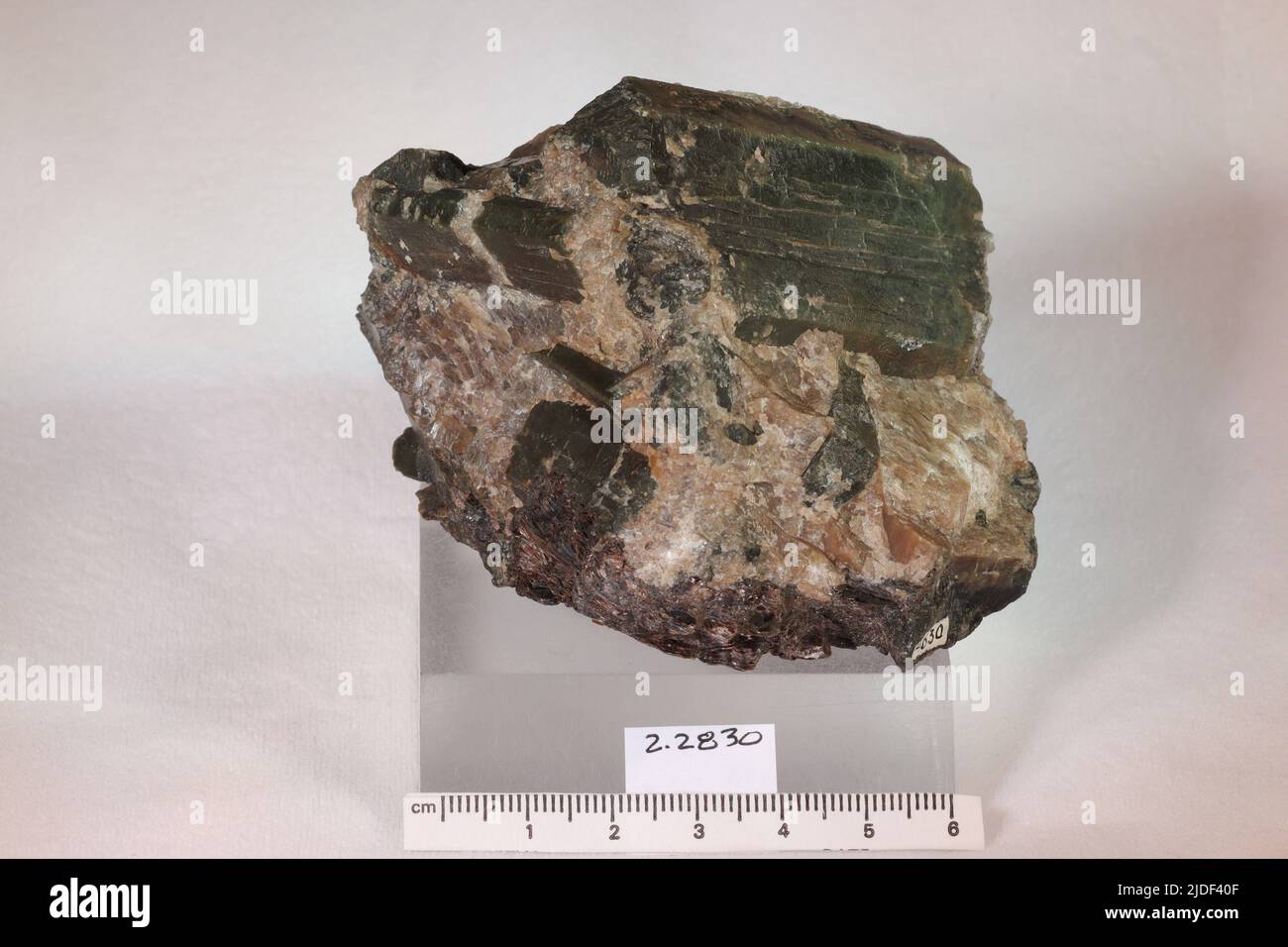 Enstatite. Minerali. Europa; Norvegia; Provincia di Telemark; Bamble Foto Stock