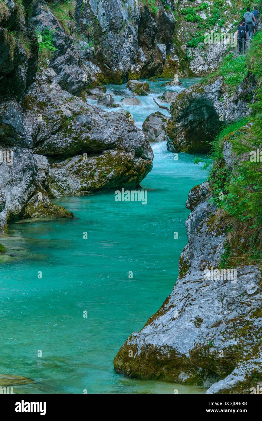 Tolmin gorge nel Parco Nazionale del Triglav, Slovenia Foto Stock