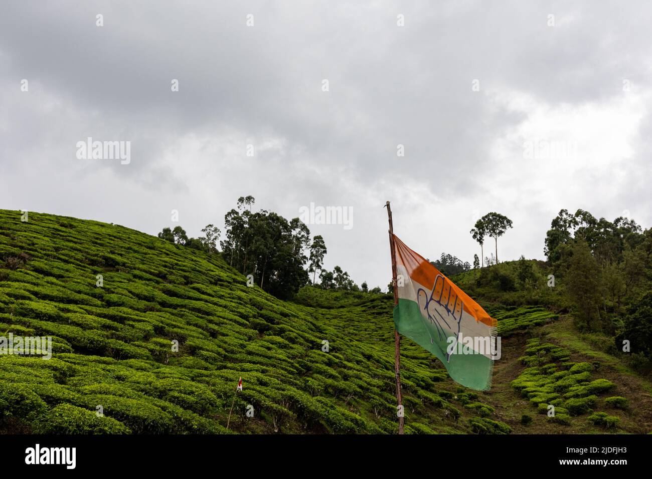 Bandiera del Congresso Nazionale Indiano (Inc) che vola in alto sui giardini del tè a Munnar, Kerala Foto Stock