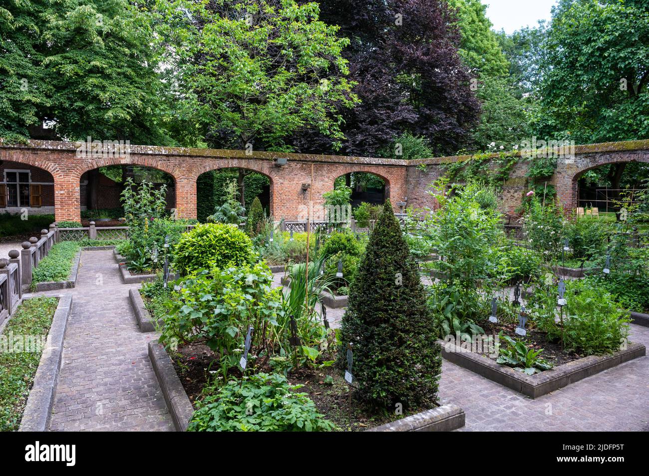 Anderlecht, Regione capitale di Bruxelles, Belgio - 06 11 2022 - i giardini medicinali della casa Erasmus Foto Stock