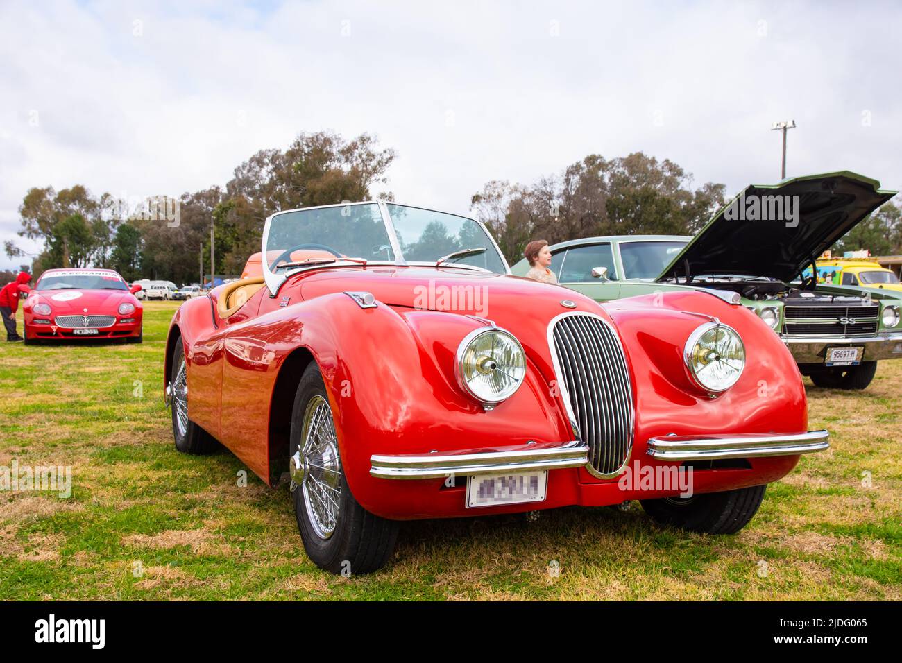 Jaguar XK 120 Foto Stock
