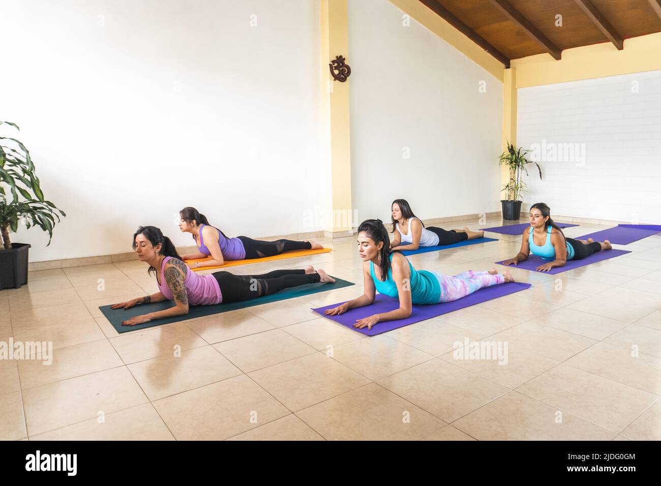 Donne in classe yoga in mezza cobra posa o Ardha Bhujangasana Foto Stock