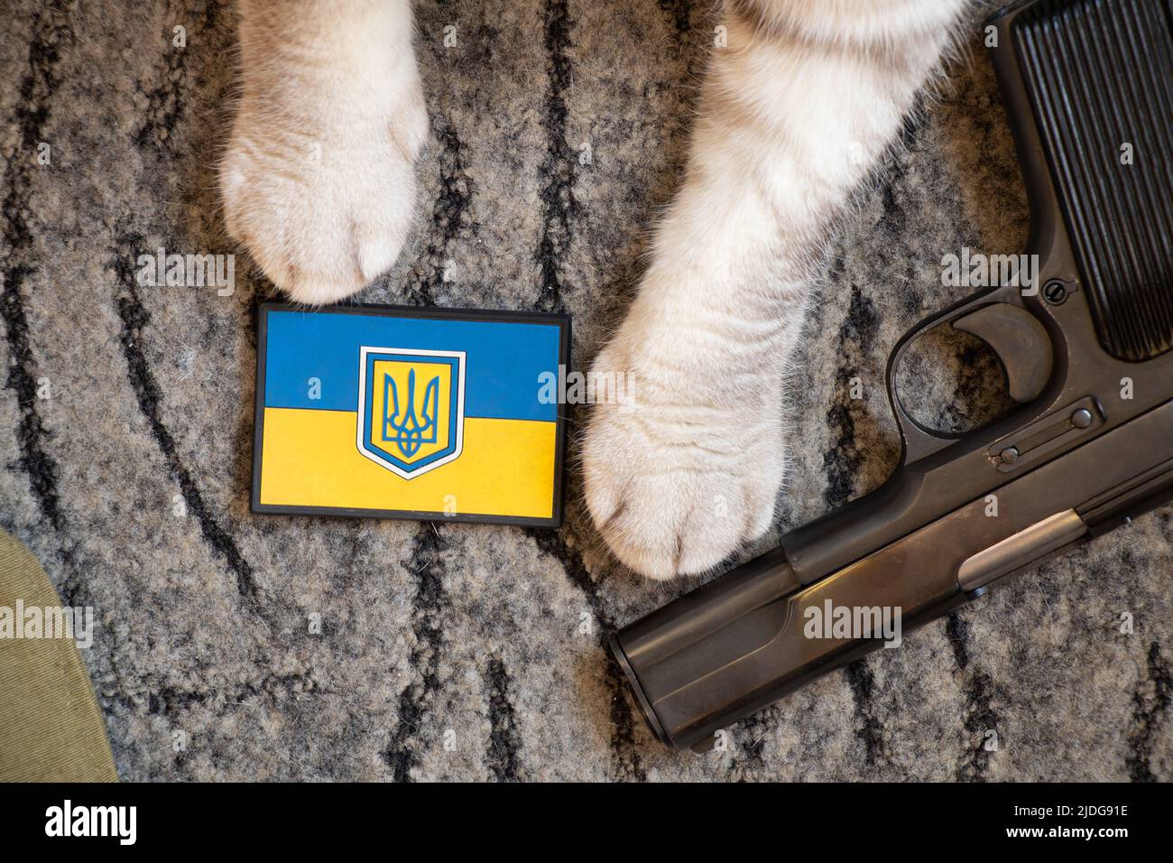 La cerchietta della bandiera Ucraina si trova sul pavimento accanto ad una pistola e le zampe di un gatto domestico, armi militari, guerra in ogni casa in Ucraina Foto Stock