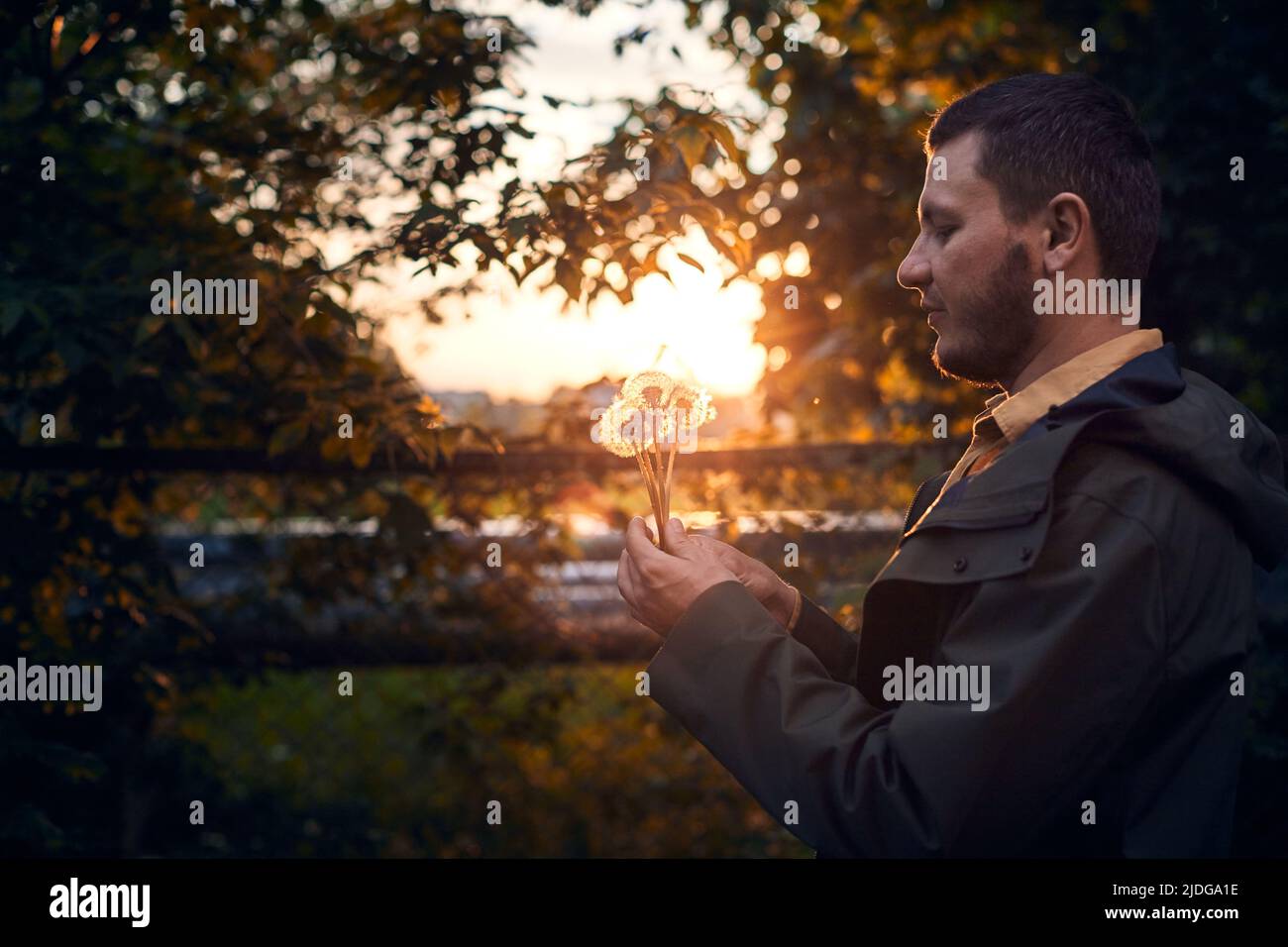 Un bell'uomo al tramonto con i dandelioni. Natura intorno a noi, primavera e tramonto. Vista frontale. Foto Stock