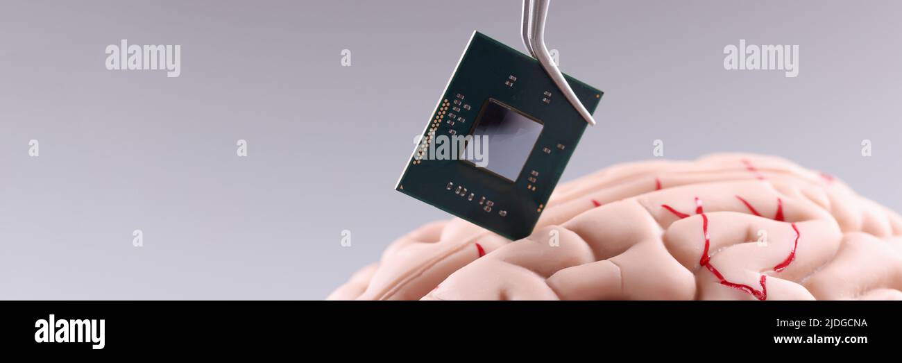 Cervello umano e chip di computer. Microprocessore in testa Foto Stock