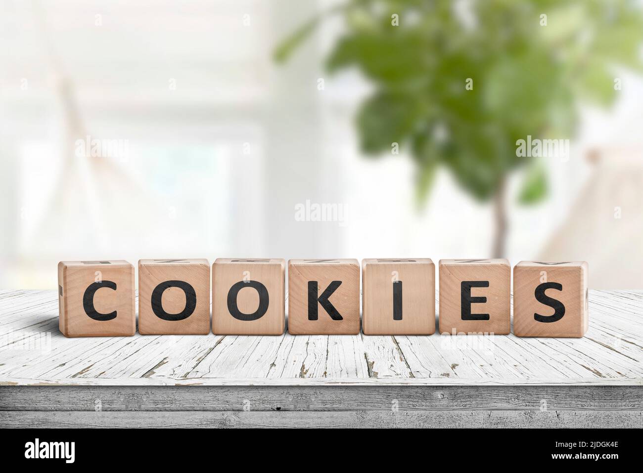 Biscotti parola su blocchi di legno in un luminoso soggiorno con piante verdi Foto Stock