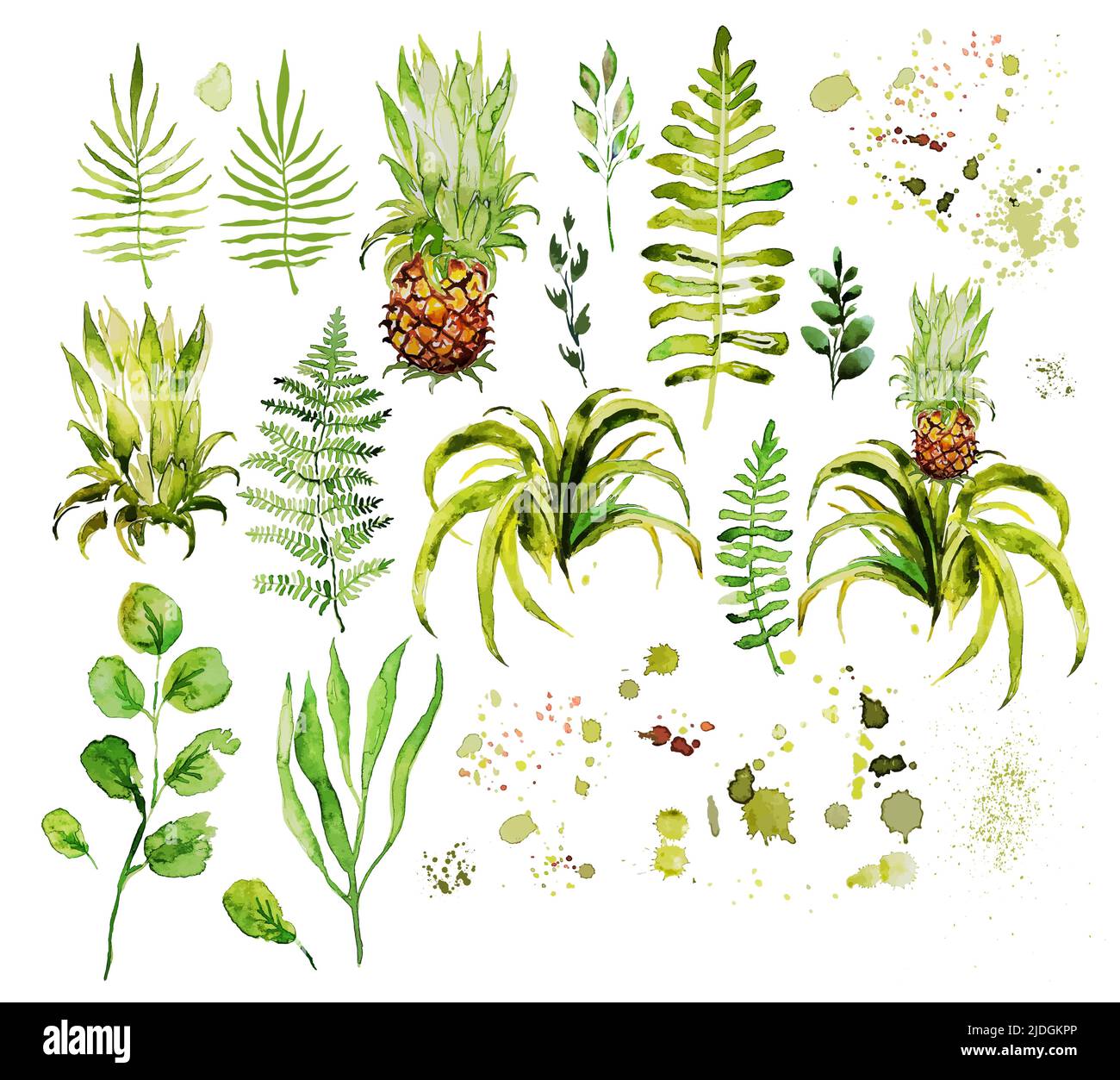 Set di foglie verdi acquerello, rametti e ananas. Illustrazione vettoriale Illustrazione Vettoriale