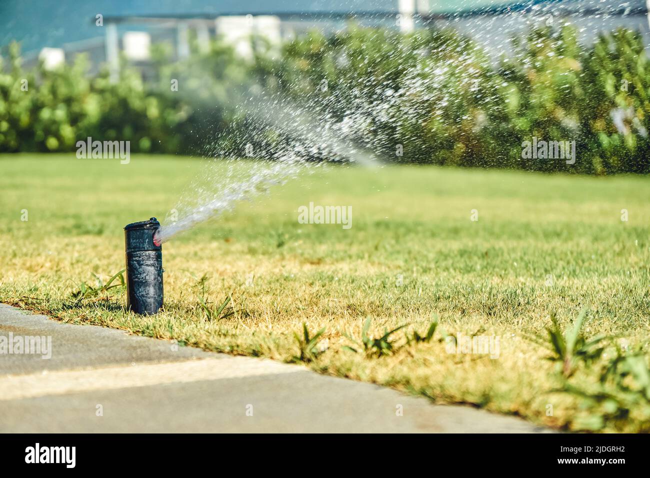 L'impianto di irrigazione spruzza acqua sul prato verde del territorio dell'hotel. Erba annaffiata durante la giornata di sole luminoso presso il resort. Vacanza estiva vista ravvicinata Foto Stock