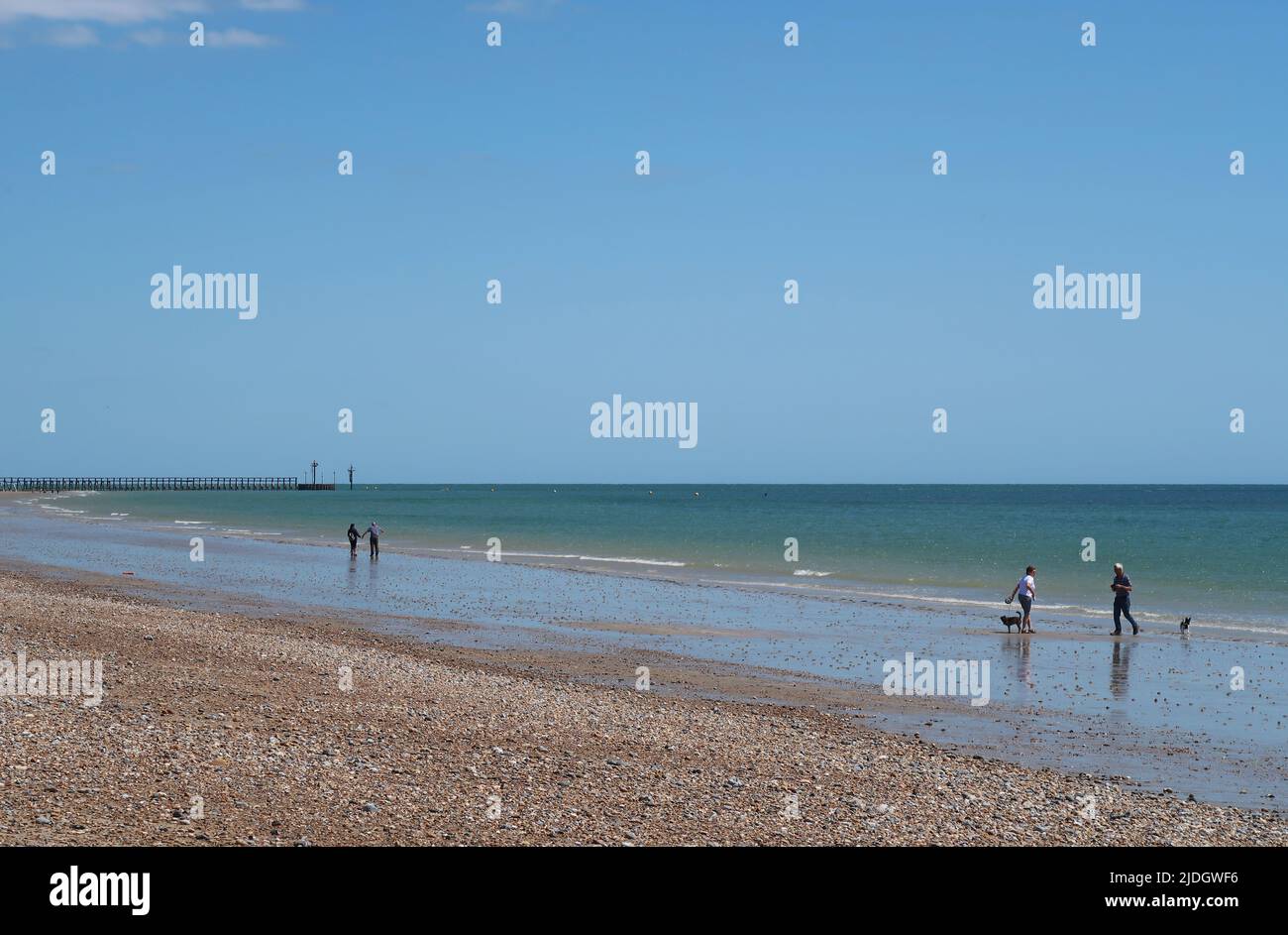 Littlempton, West Sussex, Regno Unito. Due coppie camminano cani lungo la deserta West Beach. Mostra turbine eoliche offshore all'orizzonte. Foto Stock