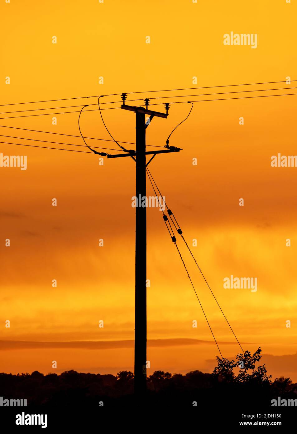 Palo di distribuzione dell'elettricità in legno e cavi al tramonto. REGNO UNITO Foto Stock