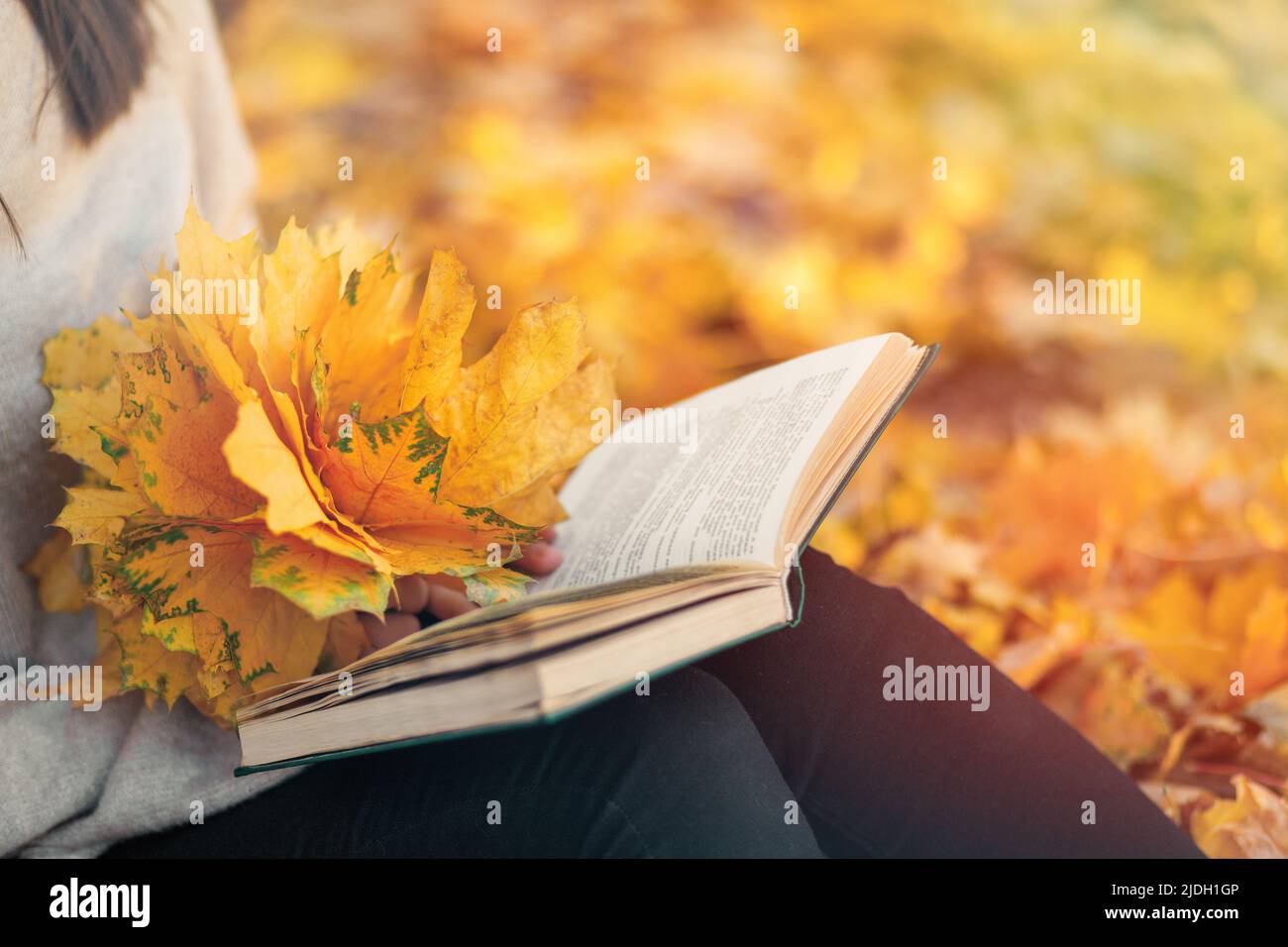 Primo piano su un libro e un bouquet giallo di foglie autunnali in mani femminili. Spazio copia Foto Stock