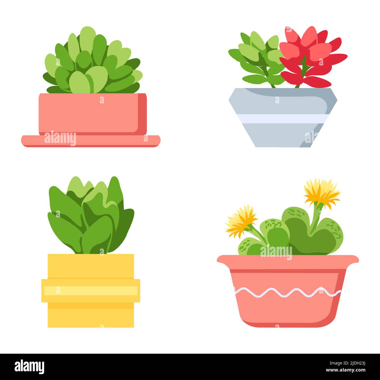 Vaso colore fiori piante fiore di collezione Illustrazione Vettoriale