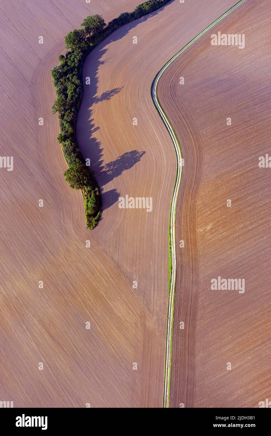 Gruppo forestale vicino alla tenuta Slershagen, veduta aerea 08/31/2019, Germania, Schleswig-Holstein Foto Stock