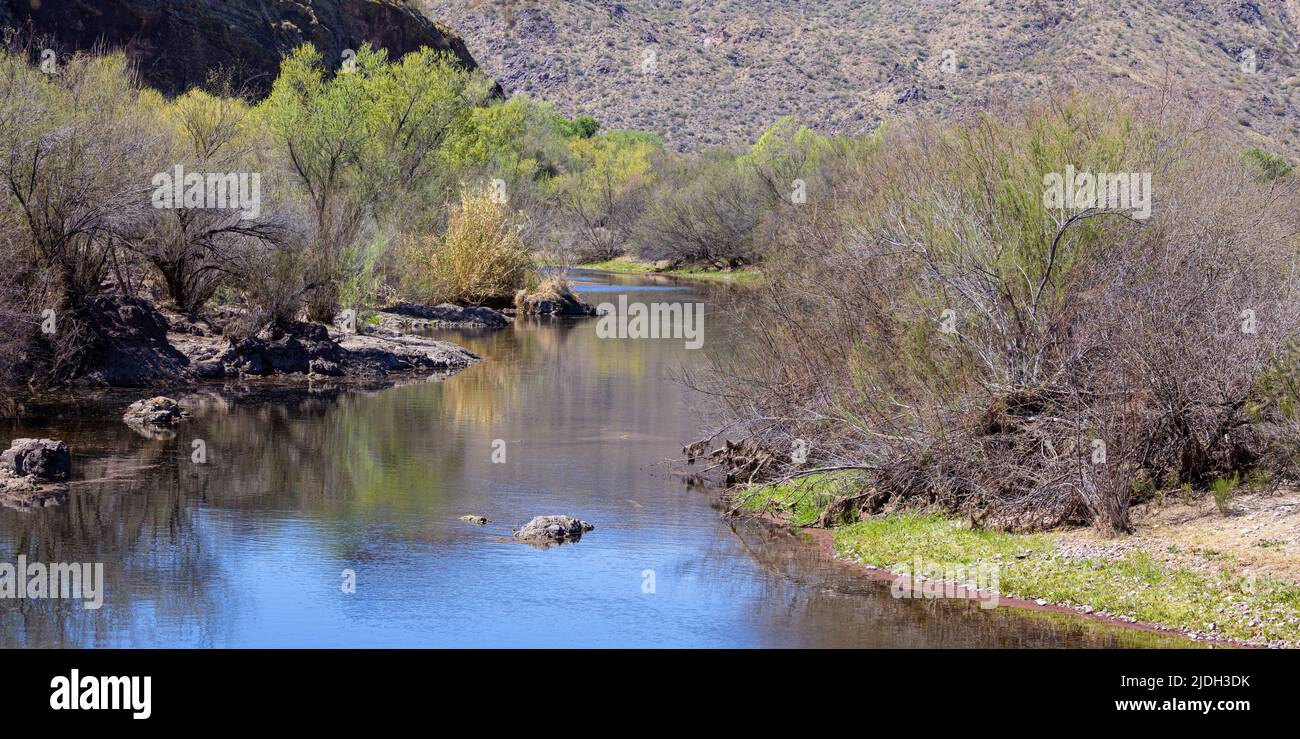 Salt River in primavera, USA, Arizona Foto Stock