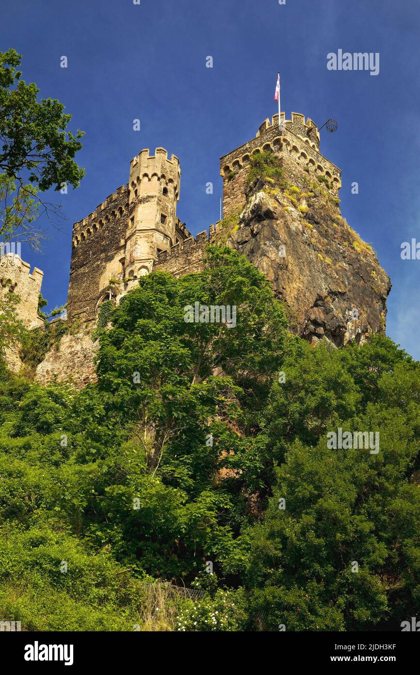Castello di Rheinstein, parte del sito patrimonio dell'UNESCO gola del Reno, Germania, Renania-Palatinato, Trechtingshausen Foto Stock