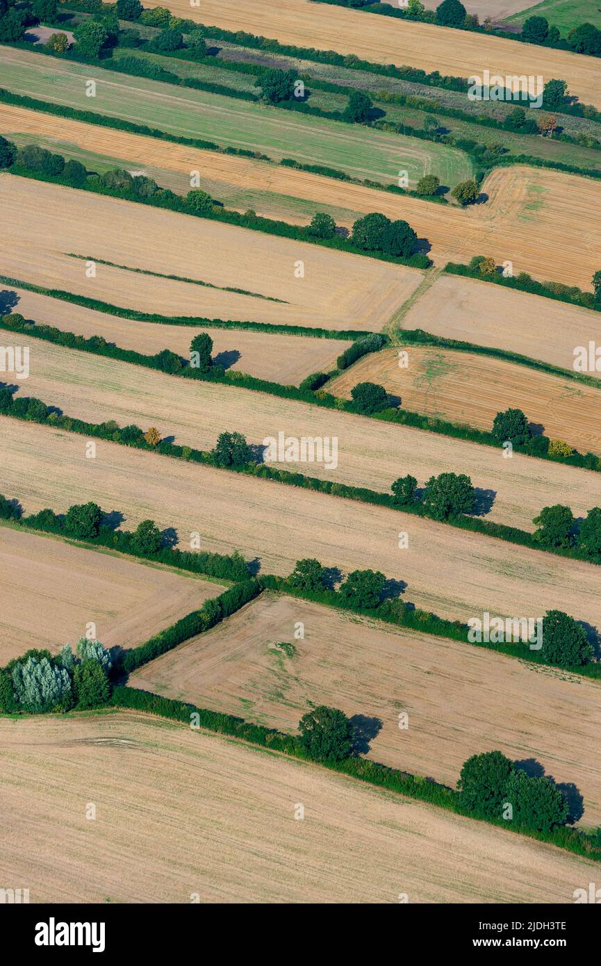 Paesaggio culturale in nort Schleswig-Holstein orientale, veduta aerea 08/31/2019, Germania, Schleswig-Holstein, StorMan Foto Stock