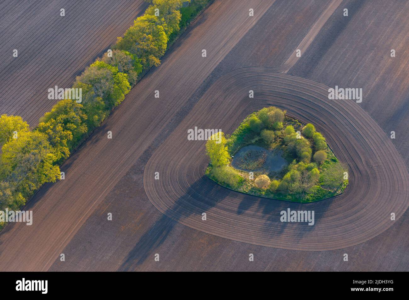 Paesaggio di campo con siepi e buco bollitore, vista aerea, 06.05.2022, Germania, Schleswig-Holstein Foto Stock