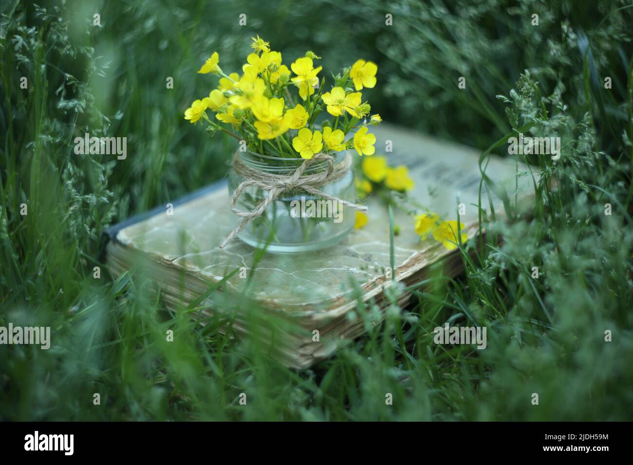 vita morta con fiori gialli e vecchio libro Foto Stock