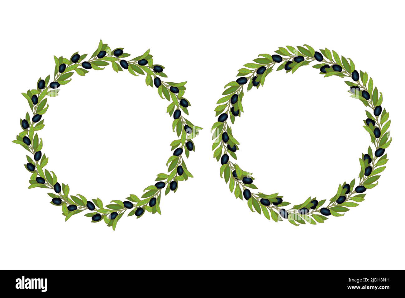 Corona olive nere stillate a mano telaio rotondo con rami foglie e bacche verdi. Illustrazione vettoriale Illustrazione Vettoriale