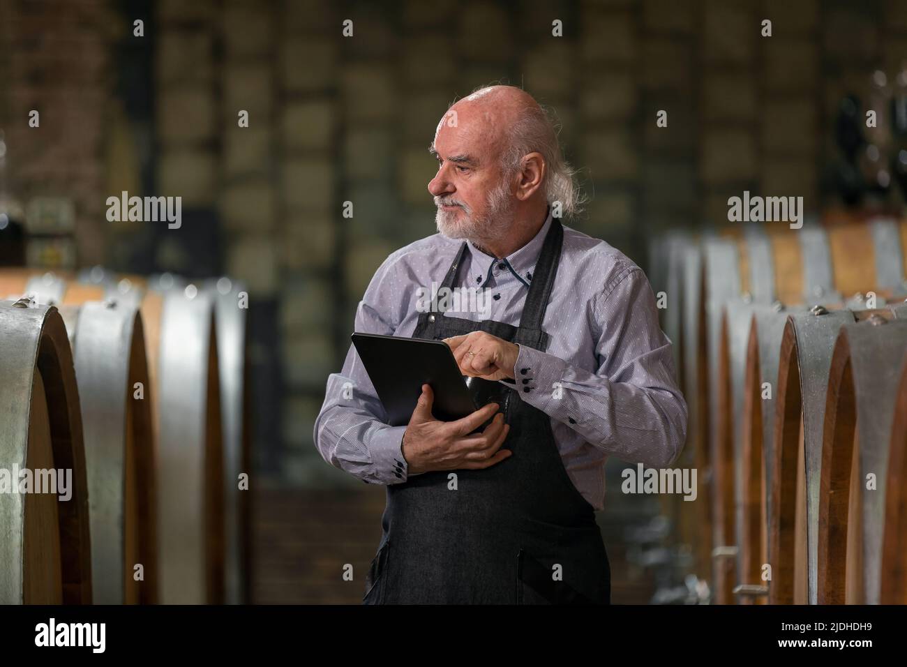 Uomo anziano caucasico, un enologo di greybeard con grembiule che controlla grandi botti di legno in una cantina di vino e l'immissione di dati in un dispositivo tablet Foto Stock