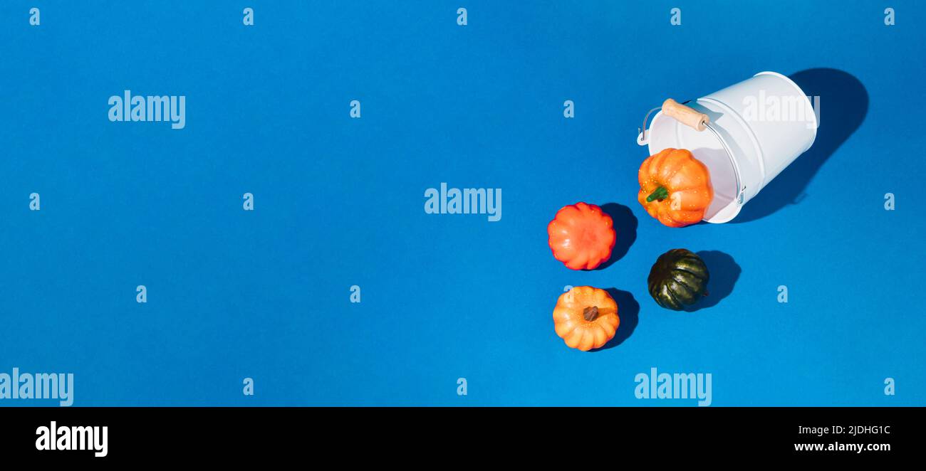 Secchio bianco con zucche autunnali colorate versate su sfondo blu. Concetto di idea creativa di Halloween o Thanksgiving. Concetto stagionale minimo. Foto Stock Secchio bianco con zucche autunnali colorate versate su sfondo blu. Concetto di idea creativa di Halloween o Thanksgiving. Concetto stagionale minimo. Foto Stock